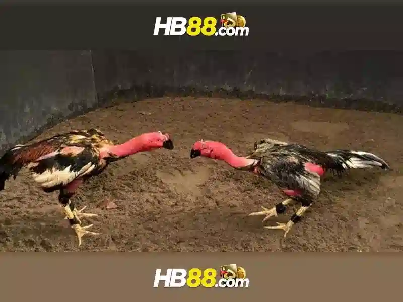 An toàn và bảo mật
