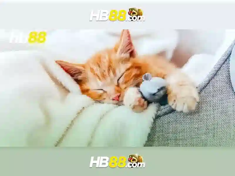 Các tính năng nổi bật của HB88