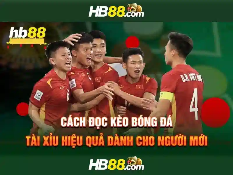 Hướng dẫn tham gia và an toàn