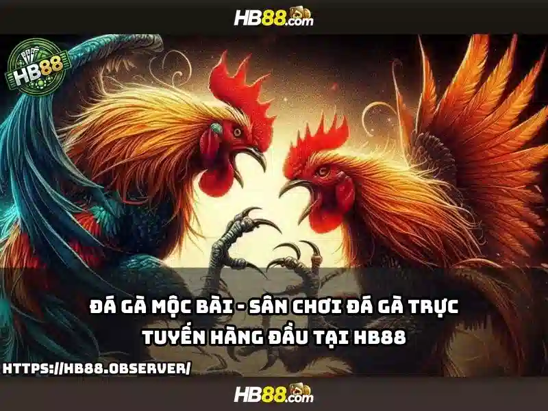 HB88 là gì và nền tảng cá cược trực tuyến Giao diện nhà cái hoàn hảo