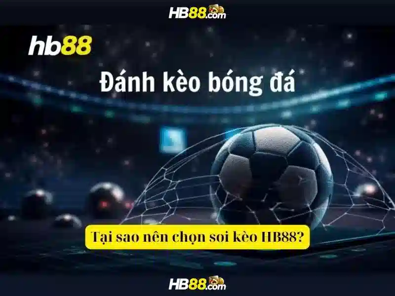 Khuyến mãi và thưởng