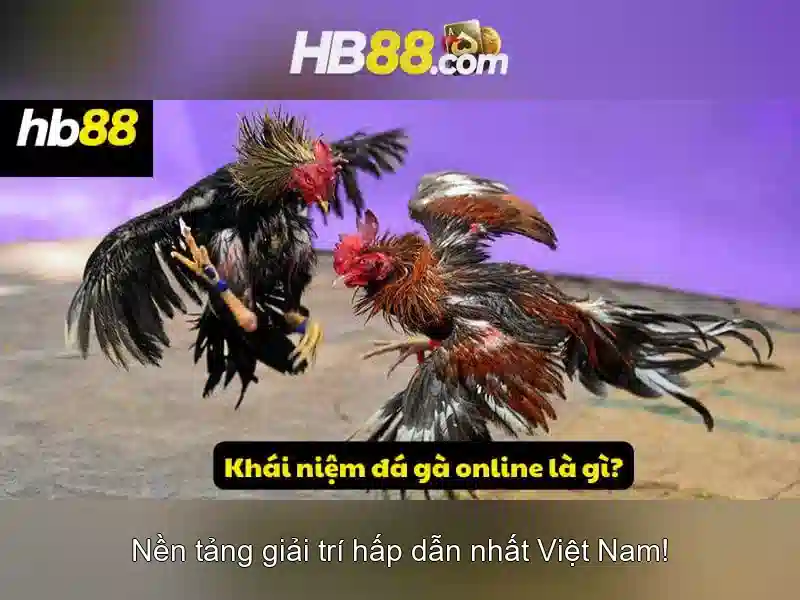 Nhà Cái 2Qsport – Sảnh Cược Uy Tín Và Bảo Mật Số 1 Châu Á