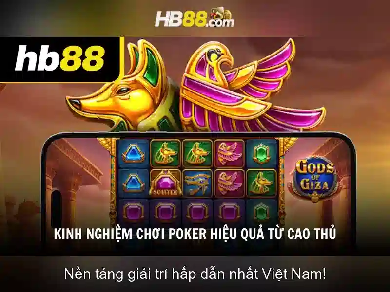 An toàn và pháp lý
