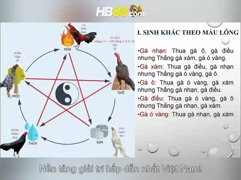 Giao diện nhà cái hoàn hảo