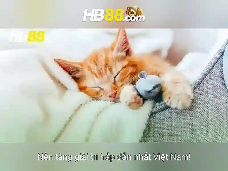 HB88: Tổng quan về nền tảng cá cược trực tuyến và những lưu ý Giao diện nhà cái hoàn hảo