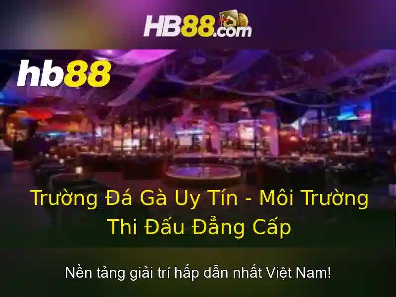 Giao diện nhà cái hoàn hảo
