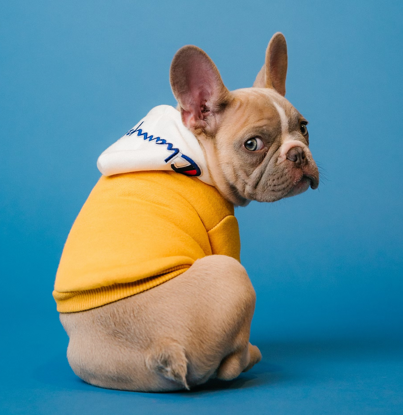 روابط 30/1/2024 |  الرأسمالية العارية