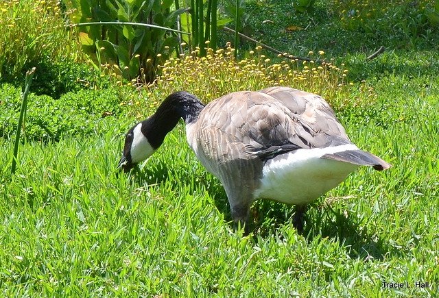 روابط 15/06/2024 |  الرأسمالية العارية