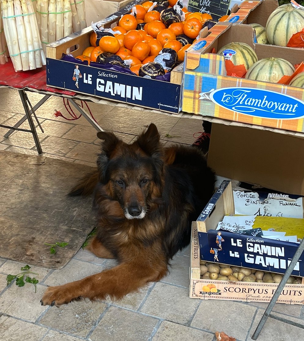 روابط 8/6/2024 |  الرأسمالية العارية